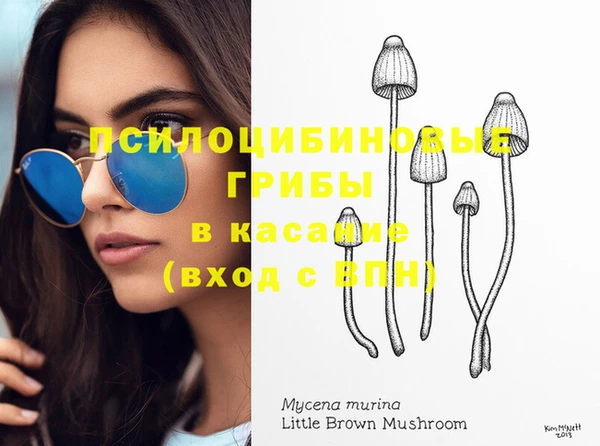 хмурый Тутаев