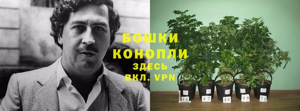бошки Карпинск